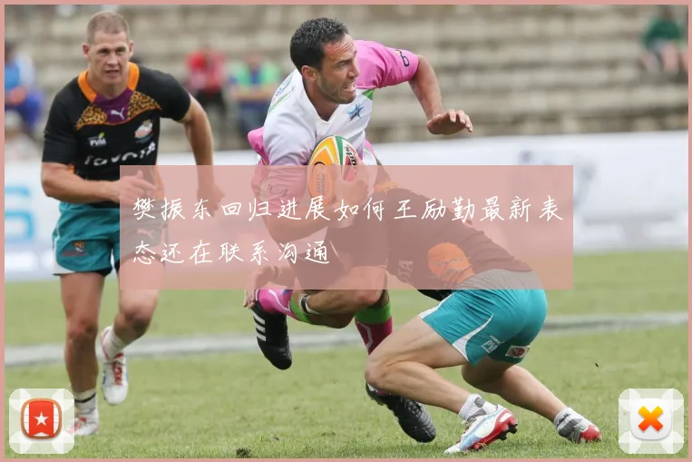 樊振东回归进展如何王励勤最新表态还在联系沟通