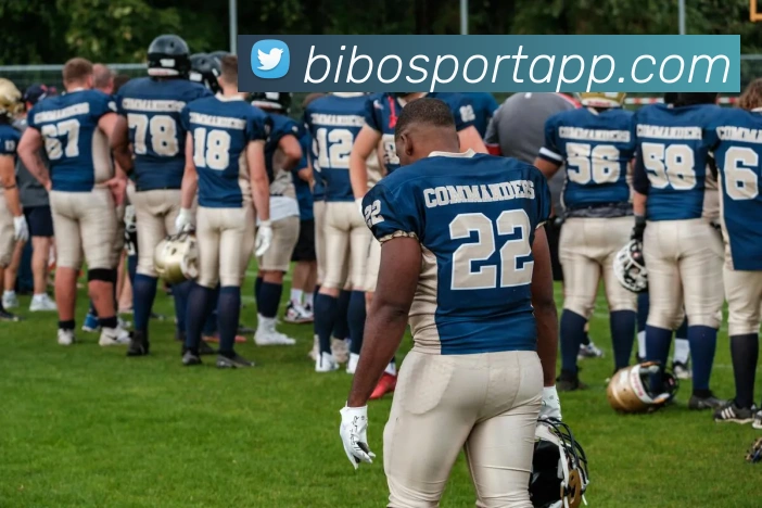 App Interface Preview